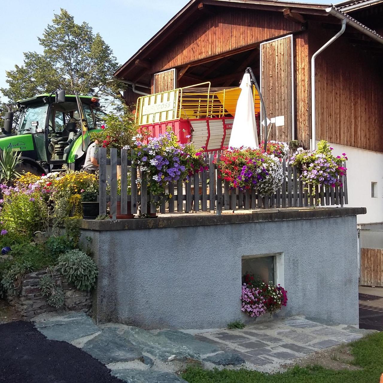 Biohof Koeck Tonibauer Villa Zeutschach Dış mekan fotoğraf